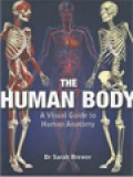The Human Body: A Visual Guide To Human Anatomy