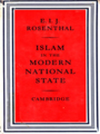 Image of Islam In The Modern National State
