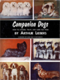 Image of Companion Dogs: How To Choose, Train And Care For Them