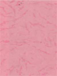 Image of Sejarah Gereja Periode Kedua, Abad-Abad Pertengahan - Gereja Sebagai Guru Dan Pemimpin Masyarakat Dunia Barat (692-Akhir Abad Kelimabelas)