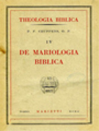 Image of Theologia Biblica IV: De Mariologia Biblica