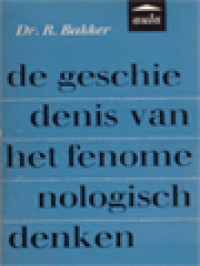 Image of De Geschiedenis Van Het Fenomenologisch Denken