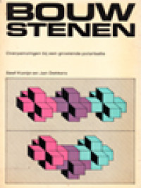 Image of Bouwstenen, Overpeinzingen Bij Een Groeiende Polarisatie