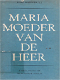 Image of Maria Moeder Van De Heer: Theologische Beschouwingen