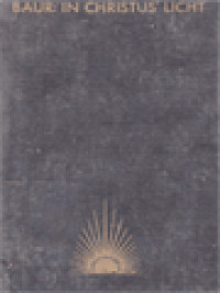 Image of In Christus Licht: Liturgische Overwegingen Voor Elken Dag Van Het Kerkelijk Jaar, II. De Na-Pinkstertijd