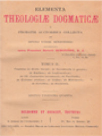 Image of Elementa Theologiæ Dogmaticæ II: E Probatis Auctoribus Collecta Et Divini Verbi Ministerio