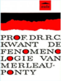 Image of De Fenomenologie Van Merleau-Ponty