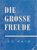 Die Grosse Freude: Betrachtende Lesungen Aus Dem Evangelium Nach Lukas