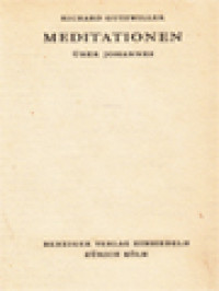 Image of Meditationen Über Johannes