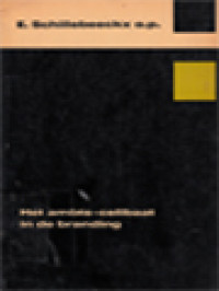 Image of Het Ambts-Celibaat In De Branding: Een Kritische Bezinning