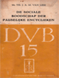 Image of De Sociale Boodschap Der Pauselijke Encyclieken