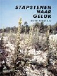 Image of Stapstenen Naar Geluk: Om Bij Stil Te Staan Om Bij Te Bidden