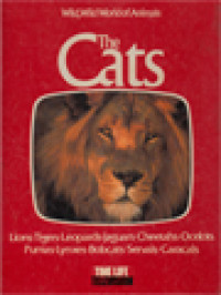 Image of Wild, Wild World Of Animals - The Cats: Lions, Tigers, Leopards, Jaguars, Cheetahs, Ocelots, Pumas, Lynxes, Bobcats, Servals, Caracals