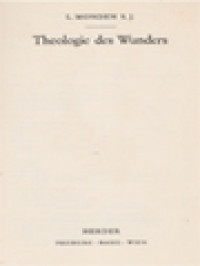 Image of Theologie Des Wunders