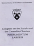 Congress On The Parish And The Carmelite Charism