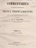 Commentarius In Libros Historicos Novi Testamenti II: In S. Lucam Et Joannem
