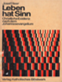 Image of Leben Hat Sinn: Christliche Existenz Nach Dem Johannesevangelium