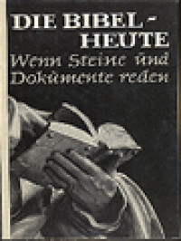 Image of Die Bibel Heute: Wenn Steine und Dokumente Reden