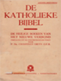 Image of De Katholieke Bijbel: De Heilige Boeken Van Het Oude En Nieuwe Verbond 8