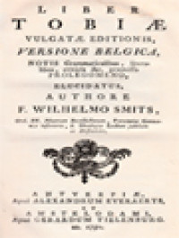 Image of Liber Tobiae Vulgatae Editionis, Versione Belgica