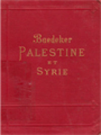 Image of Palestine Et Syrie: A Travers La Mésopotamie Et La Babylonie L'ile De Chypre, Manuel Du Voyageur