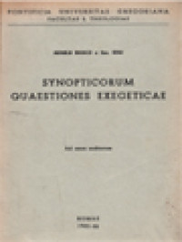 Image of Synopticorum Quaestiones Exegeticae