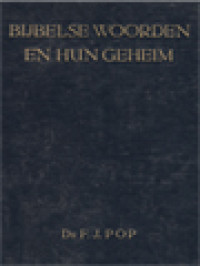 Image of Bijbelse Woorden En Hun Geheim: Theologische Verklaring Van Een Aantal Bijbelse Begrippen