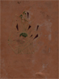 Image of De Man Die De Toekomst Zag