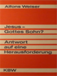Image of Jesus-Gottes Sohn? Antwort Auf Eine Herausforderung