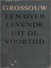 Image of Een Overlevende Uit De Voortijd: Spirituele Beschouwingen