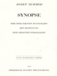 Image of Synopse: Der Drei Ersten Evangelien Mit Beifügung Der Johannes Parallelen