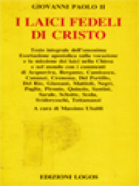 Image of I Laici Fedeli Di Cristo: Testo Integrale Dell’omonima Esortazione Apostolica Sulla Vocazione E La Missione Dei Laici Nella Chiesa E Nel Mondo Con I Commenti Di Acquaviva, Bergamo, Camisasca, Cananzi, Cremona, Del Portillo, Del Rio, Giussani, Mattioli, Negri, Paglia, Pironio, Quinzio, Santini, Sarale, Schotte, Scola, Svidercoschi, Tettamanzi / Massimo Ubaldi (A cura)