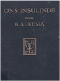 Image of Ons Insulinde: Hoe We't Verkregen En Wat Het Door Ons Werd