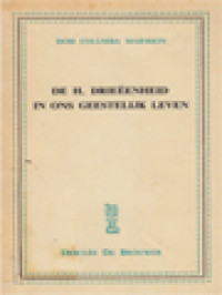 Image of De H. Drieëenheid In Ons Geestelijk Leven