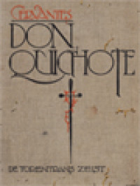 Image of Cervantes De Avonturen Van Don Quichote