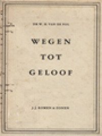 Image of Wegen Tot Geloof: Beschouwingen Over De Hedendaagse Geloofsproblematiek