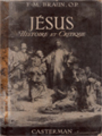 Image of Jésus Histoire Et Critique