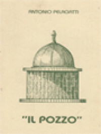 Image of San Damiano: Geschiedenis Van De Put