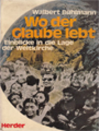 Image of Wo Der Glaube Lebt: Einblicke In Die Lage Der Weltkirche