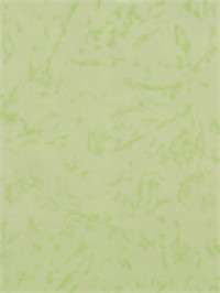 Image of Sacerdotalis Caelibatus: Encyclical Of Pope Paul VI On The Celibacy Of The Priest