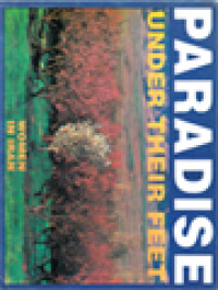 Image of Paradise Under Their Feet Women In Iran