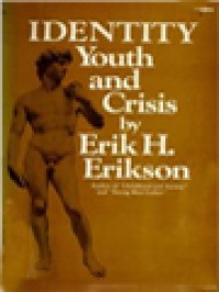 Image of Identity Youth And Crisis