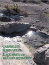 Image of Carmelite Formation: A Journey Of Transformation