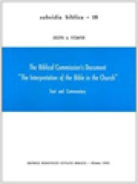 Image of The Biblical Commission's Document 