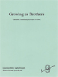 Image of Growing As Brothers