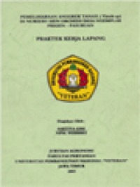 Image of Pemeliharaan Anggrek Tanah (Vanda sp) Di Nursery Sien Orchids Desa Ngemplak Prigen-Pasuruan