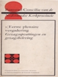 Image of Pastoraal Concilie Van De Nederlandse Kerkprovincie 2: Eerste Plenaire Vergadering - Gezagsopvattingen En Gezagsbeleving