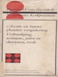 Image of Pastoraal Concilie Van De Nederlandse Kerkprovincie 6: Vijfde Plenaire Vergadering - De Religieuzen En De Ambtsbediening