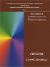 Image of Crescere Come Fratelli: Itinerario Teologico-Sapienziale Verso La Fraternità