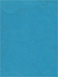 Image of Option For The Poor: Change In Values, Some Basic Thoughts On The Theology Of Liberation, Catholic Social Thought And World Economy